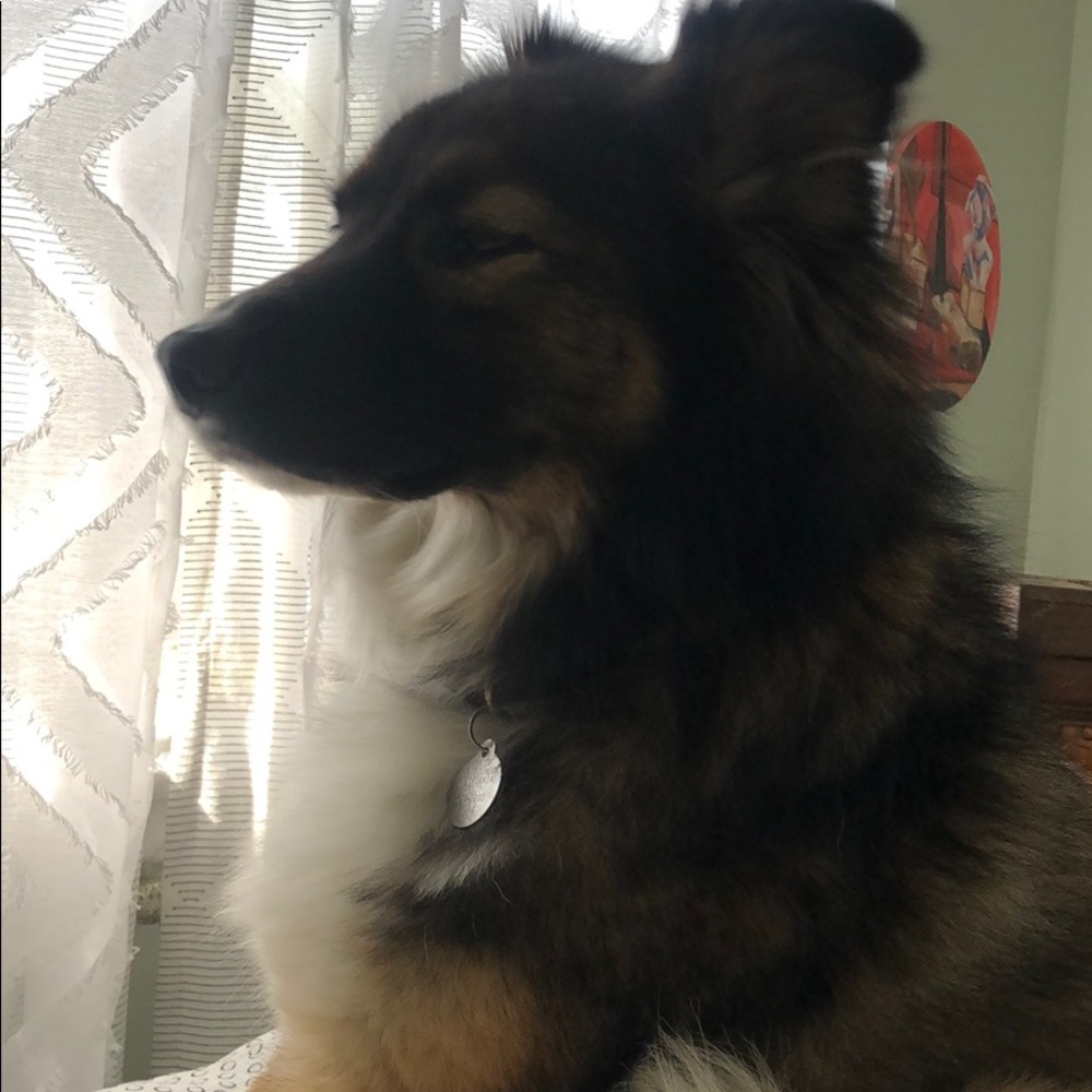 Meet your Posher, Thea